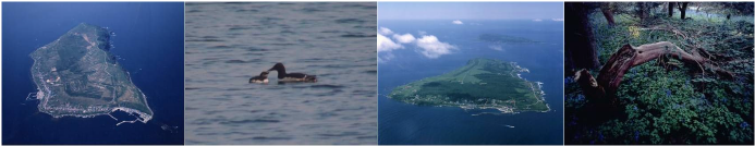 天売島・焼尻島 天売島・焼尻島