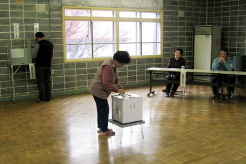 選挙の写真
