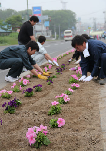 花植えの写真