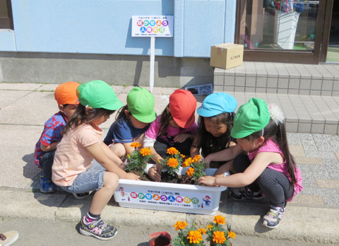 人権の花運動写真