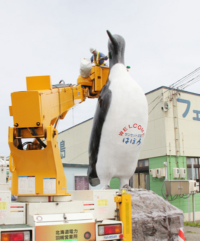 オロロン鳥の写真