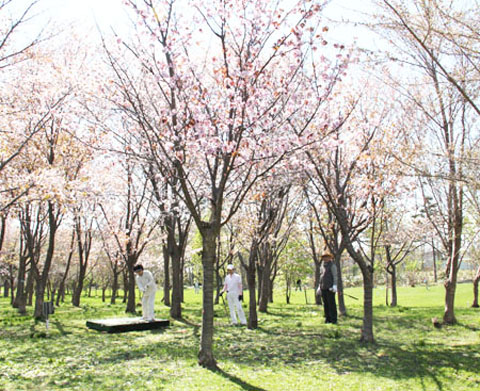 スポーツ公園の写真