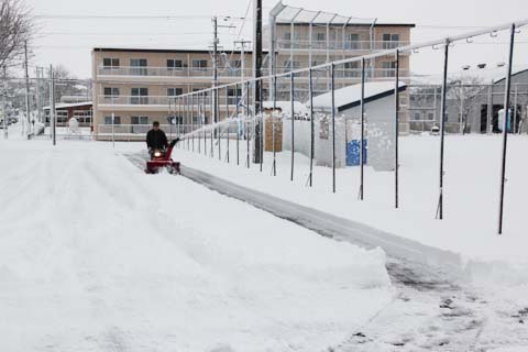 大雪の写真