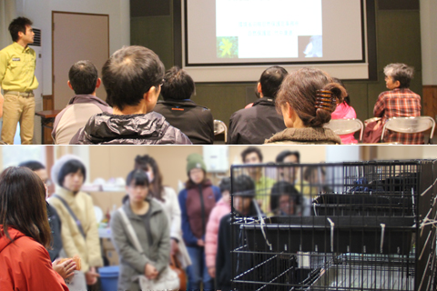 天売ネコ飼育見学会