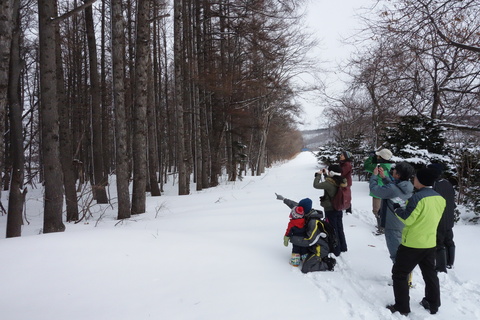 のんびり自然観察会