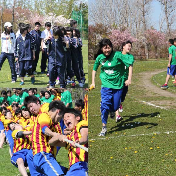 羽幌高等学校春季体育大会