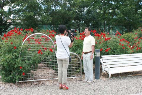 バラ園写真