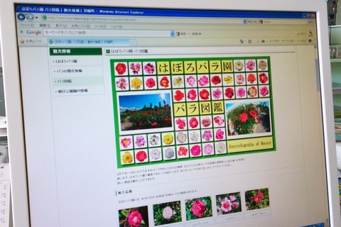 バラ図鑑画面